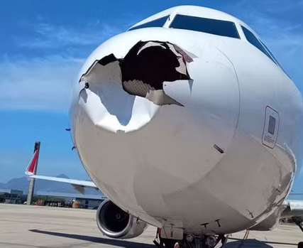 Avião colide com pássaro no Galeão ? Foto: Redes sociais 